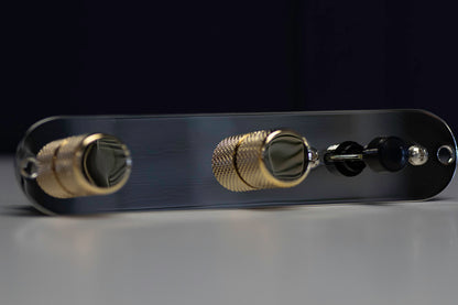 Custom Shop: Loaded Control Plate für Tele®