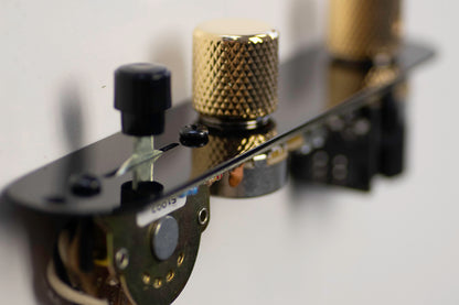 Custom Shop: Loaded Control Plate für Tele®